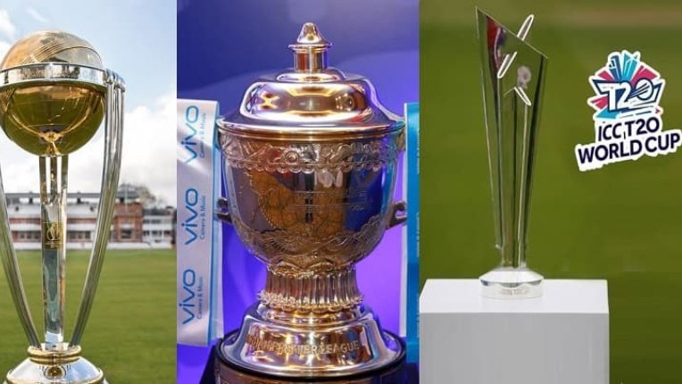 🏆 First Professional Cricket League